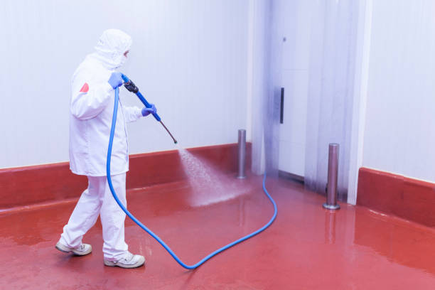 Best Solar Panel Cleaning  in Montague, CA